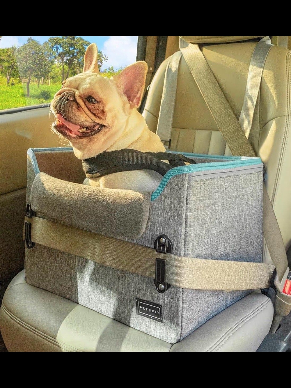 Petsfit Car Seat For Small Dogs